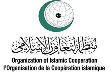 संयुक्त राष्ट्र में फ़िलिस्तीन की पूर्ण सदस्यता को अस्वीकार करने पर इस्लामिक सहयोग संगठन की ओर से खेद व्यक्त किया गया