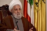 الشيخ قاسم: إتفاق وقف إطلاق النار في غزة يؤكد ثبات مقاومتها