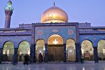 "تحرير الشام" تسحب مقاتلين متعددي الجنسيات من محيط مرقد السيدة زينب(س)