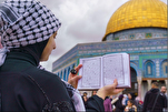 مبادرة إلكترونية لإحياء تدبر وفهم القرآن