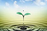 مَنْ عَقَلَ اعتَبَرَ بِأَمْسِهِ وَاسْتَظْهَرَ لِنَفْسِهِ