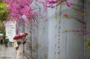 Fotogalerie: Frühlingsregen bringt für Teheran Frische