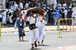 Hajj 2024: Over 1.2M Pilgrims Arrive in Saudi Arabia as Temperature Rises