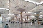 Medina’s Masjid an Nabawi Visited by 74.5 Million Worshippers in Q1 of 2024   