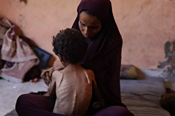 ‘Calculated Starvation’: Israel Using Food As a Weapon of War despite Ceasefire