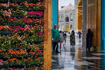 Photos: Spring Rain at Imam Reza Shrine