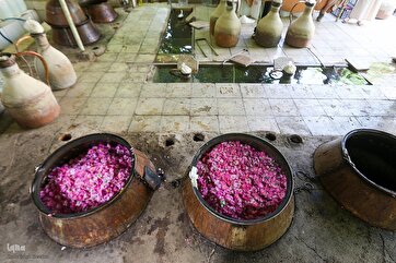 Rosewater Distillation in Iran’s Niyasar