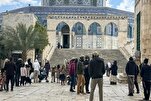 ‘Full-Fledged Crime’: Israeli Settler Converts Historic Islamic Shrine into Residence
