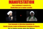 Suiza: Musulmanes continúan protestas contra la ejecución en Arabia Saudita del Sheij Al-Nimr