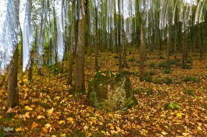 Naturaleza otoñal en los bosques del norte de Irán