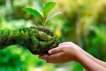 El Islam considera que dañar el medio ambiente es un acto de injusticia y maldad