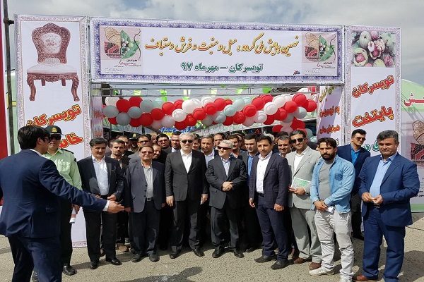 گردوی تویسرکان در راه ثبت جهانی شدن