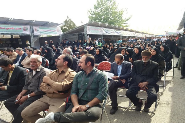 گردوی تویسرکان در راه ثبت جهانی شدن