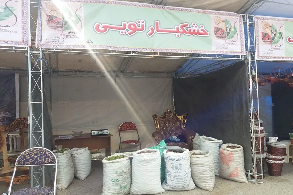 گردوی تویسرکان در راه ثبت جهانی شدن