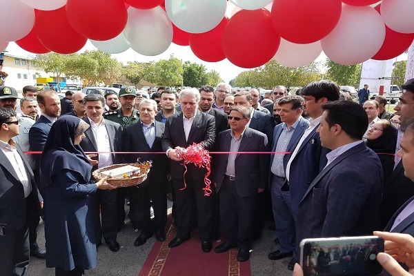گردوی تویسرکان در راه ثبت جهانی شدن