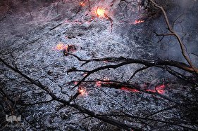 اتش‌سوزی سهمگین در آمازون