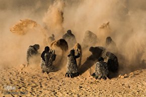 مراسم تعزیه روز اربعین در امامزاده شاه کرم(ع) اصفهان