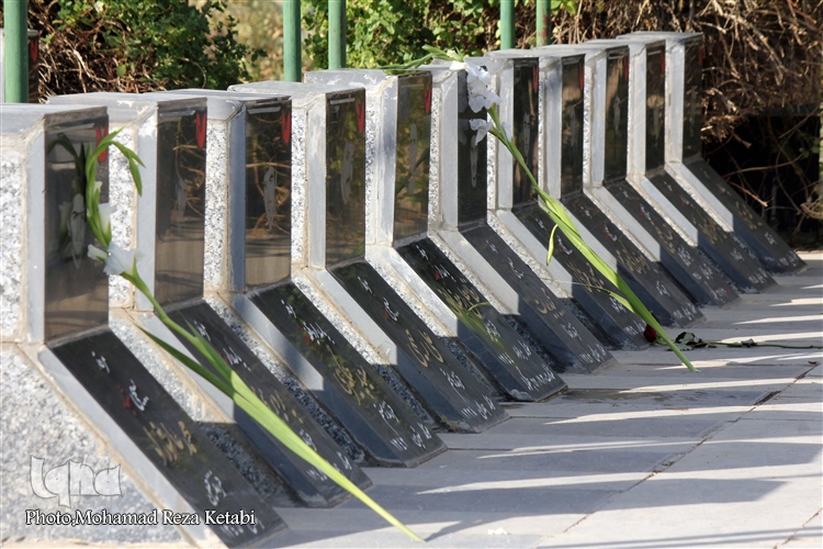 عکس | به خاک افتادند تا ما به خاک نیفتیم