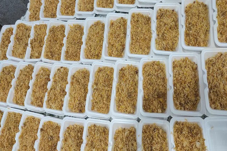 توزیع 5000 پرس غذا در همدان در پویش &laquo;مهمان خدائید&raquo; + عکس