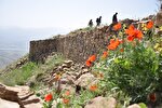 مرمت قلعه‌شهر تاریخی حسن‌آباد سنندج در حال انجام است