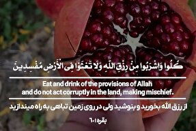 استوری‌موشن | تباهی به راه میندازید