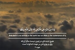 استوری‌موشن | کتاب روشن