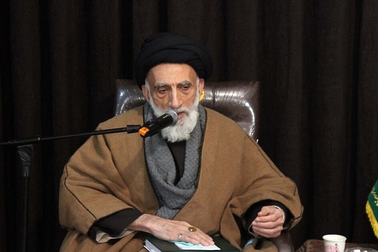 آیت‌الله سید مصطفی موسوی اصفهانی، عضو شورای خبرگان رهبری