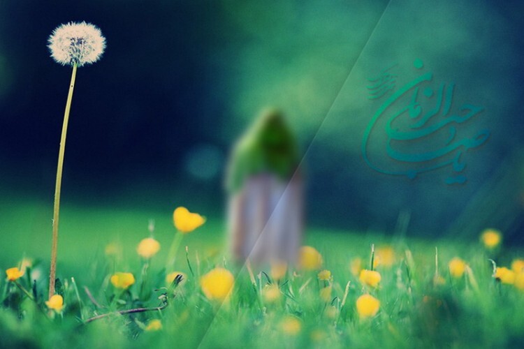 حکومت مهدوی