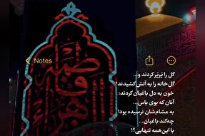 استوری‌موشن | تنهایی باغبان