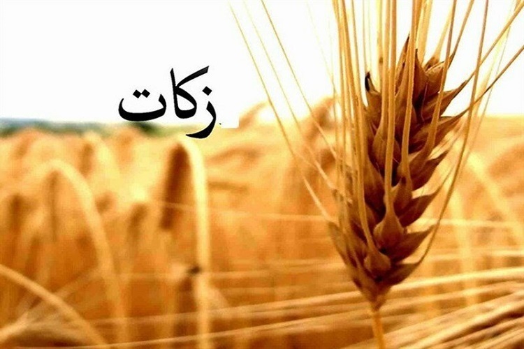 تحقق ۱۰۰ درصدی جمع‌آوری زکات فطره در اسدآباد؛ افزایش پیش‌بینی‌ها برای سال جاری