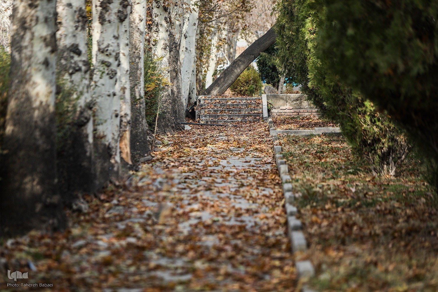 فرصت کم نفس کشیدن برای تهرانی‌ها