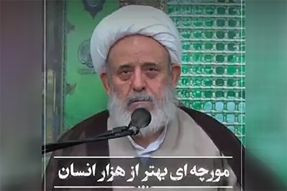 فیلم | مورچه‌ای بهتر از هزار انسان