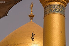 استوری‌موشن | سرور مؤمنین