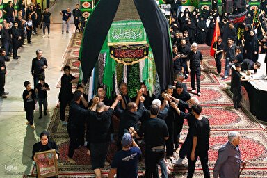 فیلم | نخل‌گردانی ۳۰۰ ساله زواره؛ میراثی زنده از عاشورای حسینی