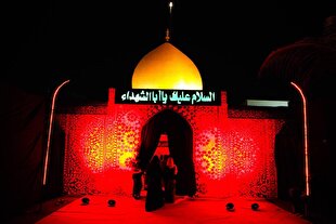 نمایشگاه «استقامت حضرت زینب(س)» در تانزانیا + فیلم