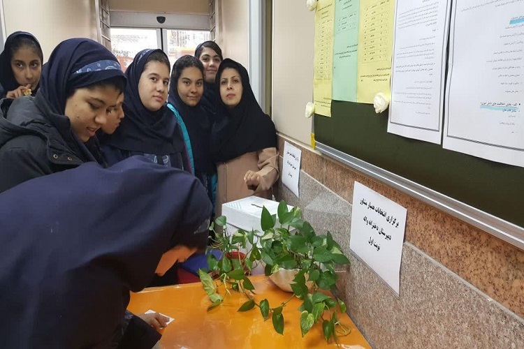 انتخابات «همیاران مشاور» در مدارس