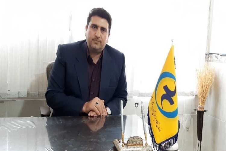 داوود فتحی، روانشناس و مشاور خانواده