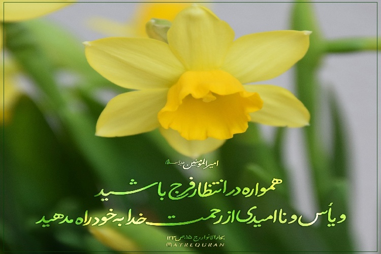 چگونه انتظار فرج را به یک رفتار اجتماعی اثرگذار تبدیل کنیم؟