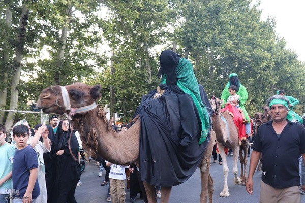 مراسم پیاده‌روی جاماندگان اربعین حسینی در ملایر ‎