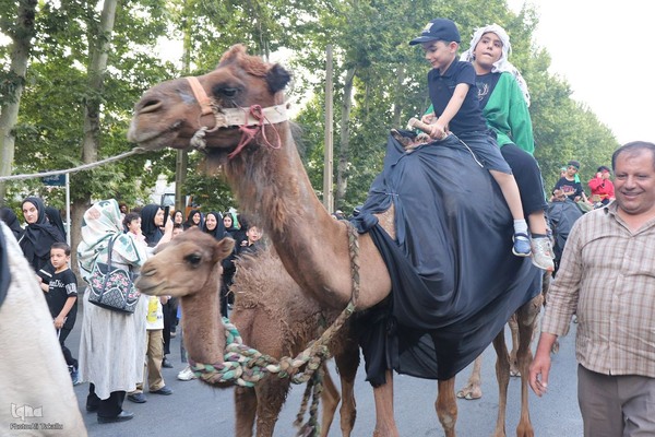 مراسم پیاده‌روی جاماندگان اربعین حسینی در ملایر ‎