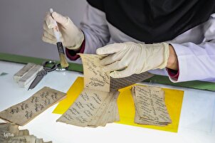 Un aperçu rapide de la bibliothèque du Parlement iranien