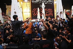 Le sanctuaire de l’imam Ali (as) au seuil de l’Arbaïn