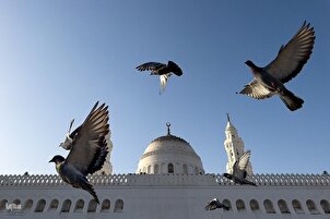 Les pèlerins visitent les sites historiques de Médine après le Hajj