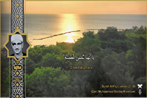 Les derniers versets de la sourate Fajr par Minchawi