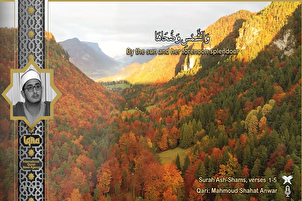 Sourate Shams par Mahmoud Shahat Anwar