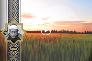 La sourate Baqarah par Hussein Mansour
