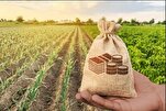 Le Salam : une solution financière islamique pour renforcer l'agriculture au Burkina Faso