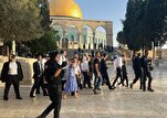 Al-Aqsa prise d'assaut par des colons sionistes