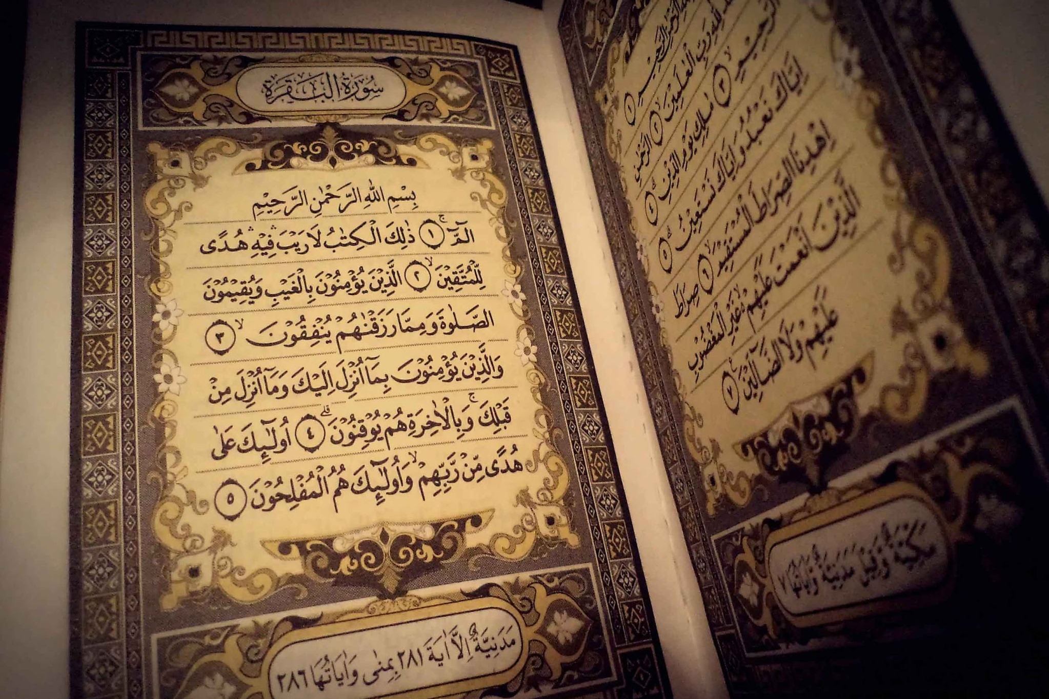 La Luce del Corano-Esegesi del Sacro Corano,vol 1 - Parte 102- Sura Al-Bagharah - versetto 197