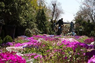 Shiraz: mercato dei fiori